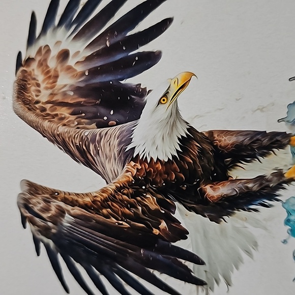 4x6 Soaring Bald Eagle‎ Ocean Watercolor Oil Painting Art Print - Picture 3 of 8